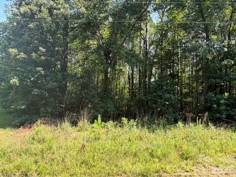 21 Ac Sweet Hope Church Road Carlisle SC 29031
