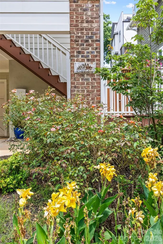 1923 Hamorton Place Charlotte NC 28205