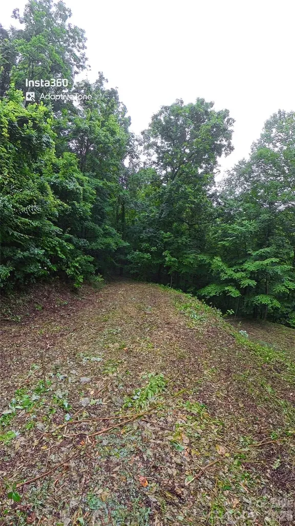 385 Valley View Drive Maggie Valley NC 28751