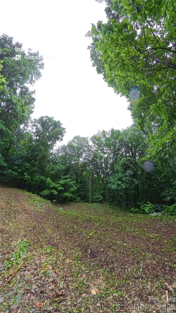 385 Valley View Drive Maggie Valley NC 28751