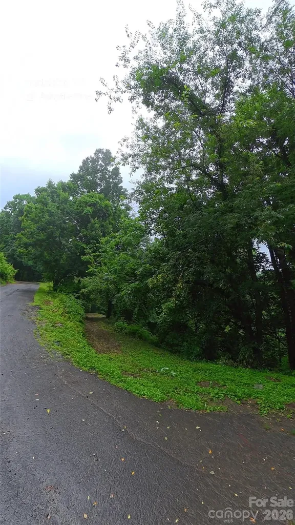 385 Valley View Drive Maggie Valley NC 28751
