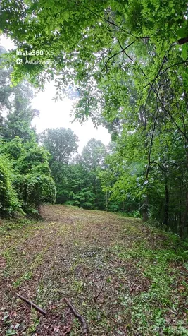 385 Valley View Drive Maggie Valley NC 28751