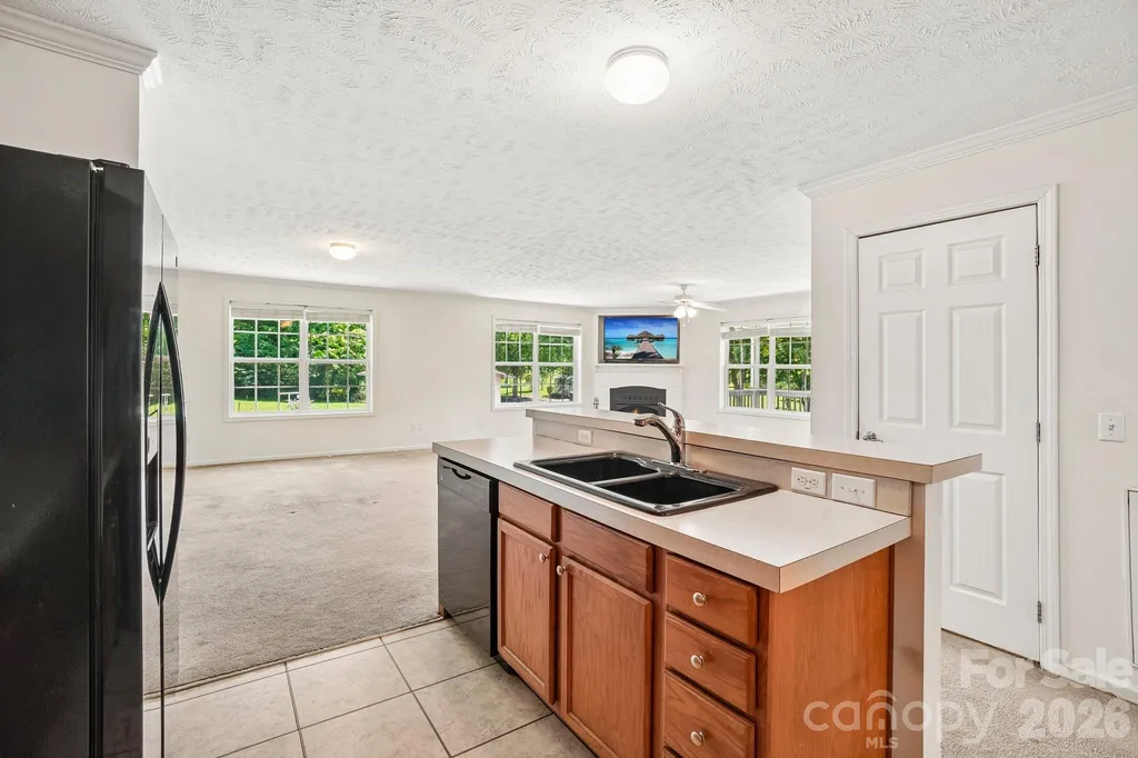 119 E Meadow Lane Horse Shoe NC 28742