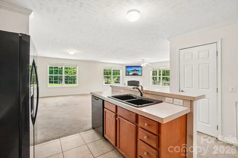 119 E Meadow Lane Horse Shoe NC 28742