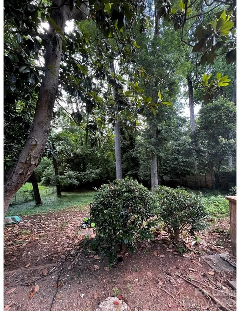 3520 Sargeant Drive Charlotte NC 28217