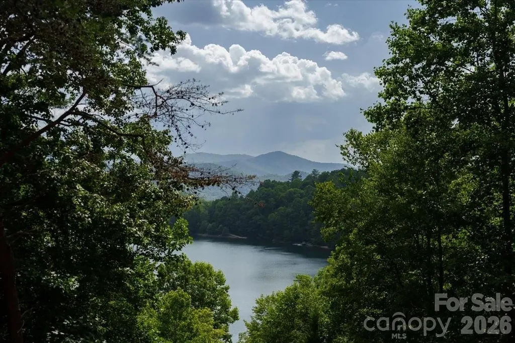 317 Von Trapp Lane Tuckasegee NC 28783