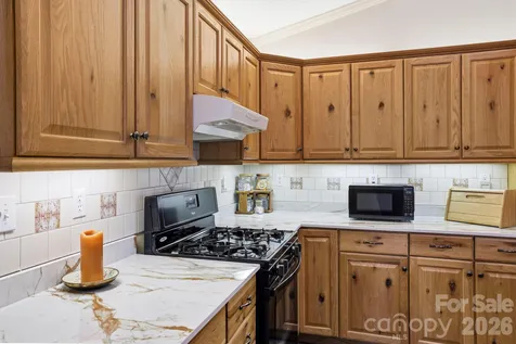 81 Chestnut Lane Hendersonville NC 28792