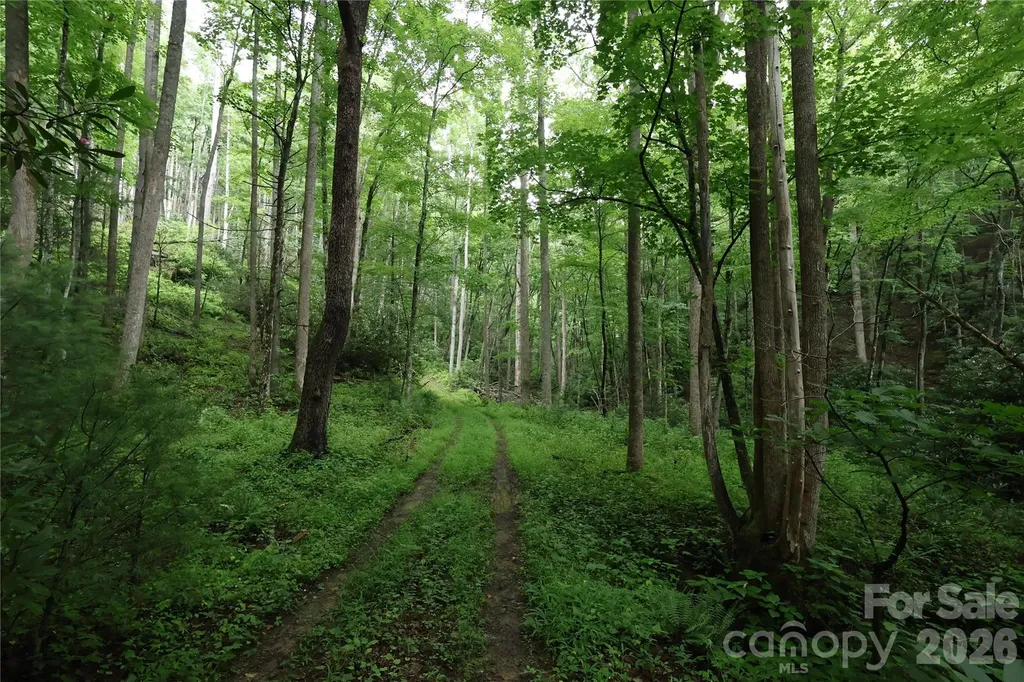 Tbd Blowing Rock Road Lenoir NC 28645