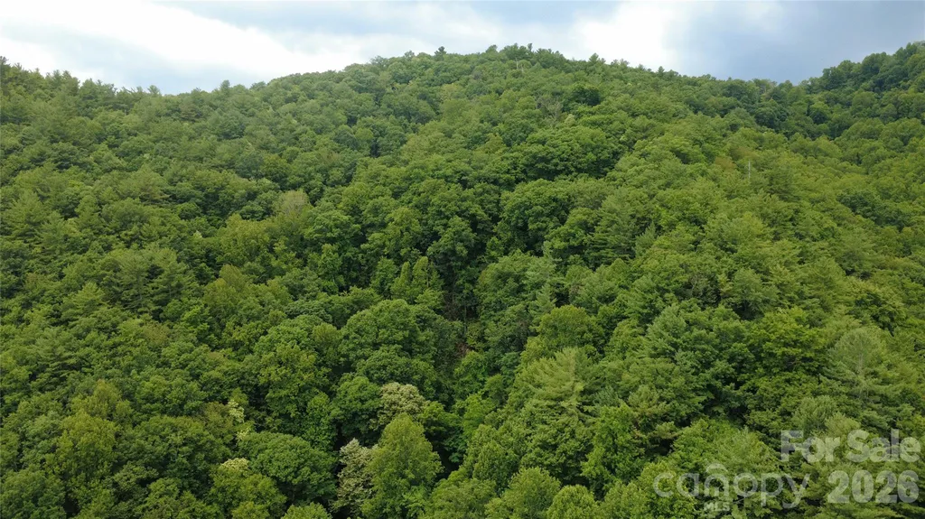 Tbd Blowing Rock Road Lenoir NC 28645