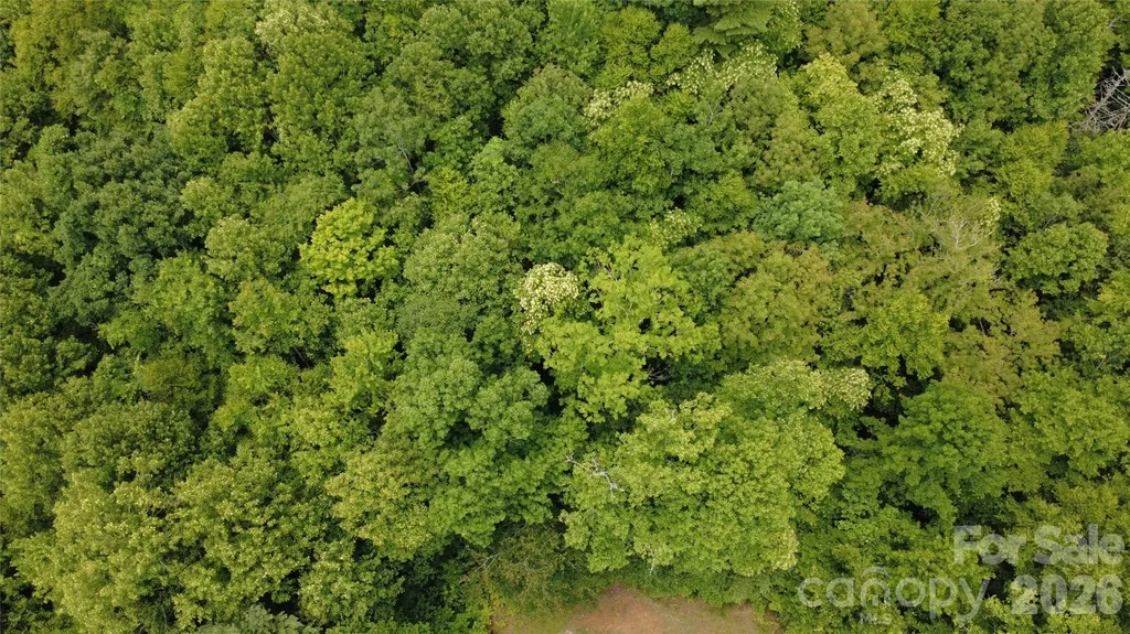 Tbd Blowing Rock Road Lenoir NC 28645