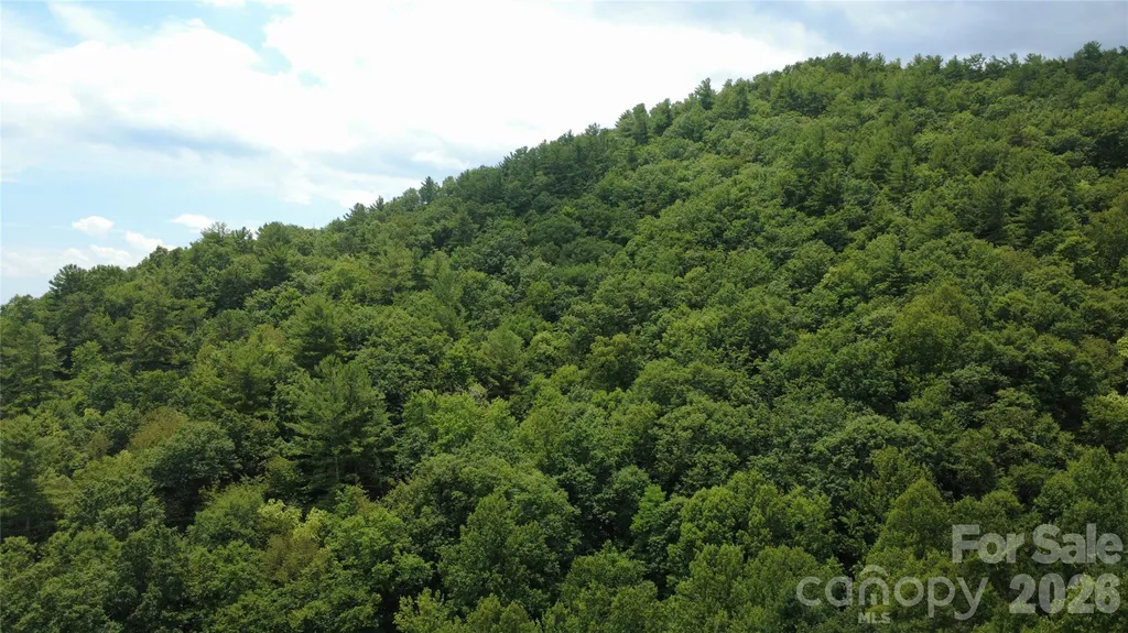 Tbd Blowing Rock Road Lenoir NC 28645