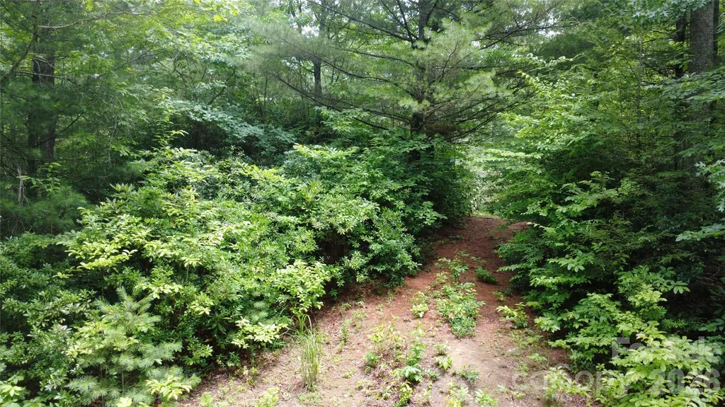 Tbd Blowing Rock Road Lenoir NC 28645