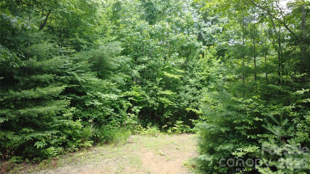 Tbd Blowing Rock Road Lenoir NC 28645