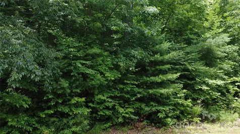 Tbd Blowing Rock Road Lenoir NC 28645