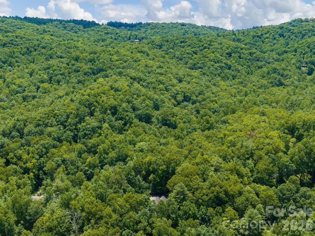 49 Indian Ridge Trail Hendersonville NC 28739
