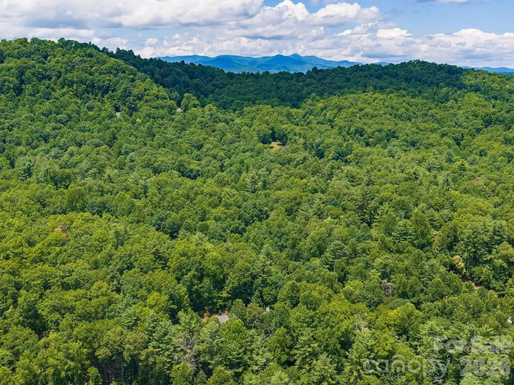 49 Indian Ridge Trail Hendersonville NC 28739