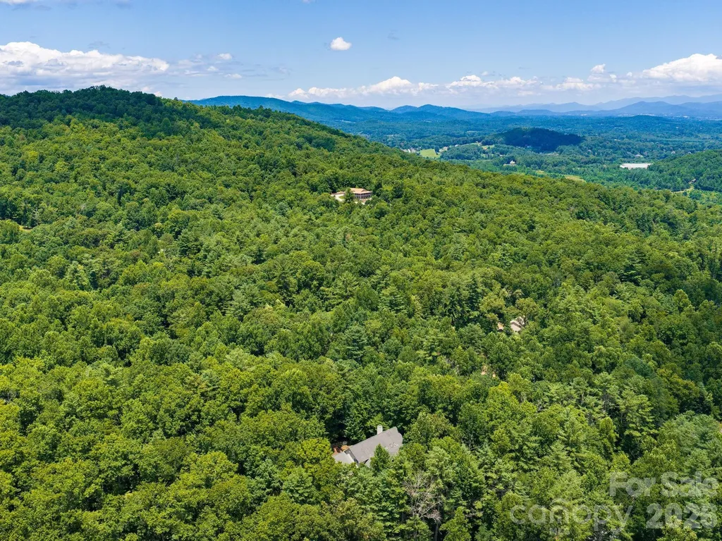 49 Indian Ridge Trail Hendersonville NC 28739