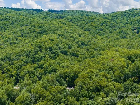 49 Indian Ridge Trail Hendersonville NC 28739