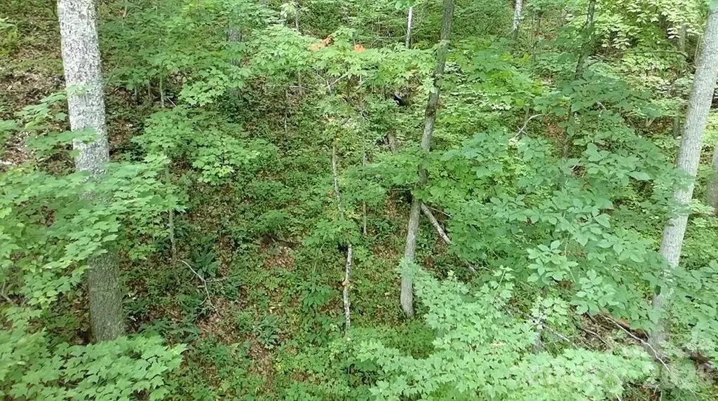 1873 Unahala Creek Road Bryson City NC 28713