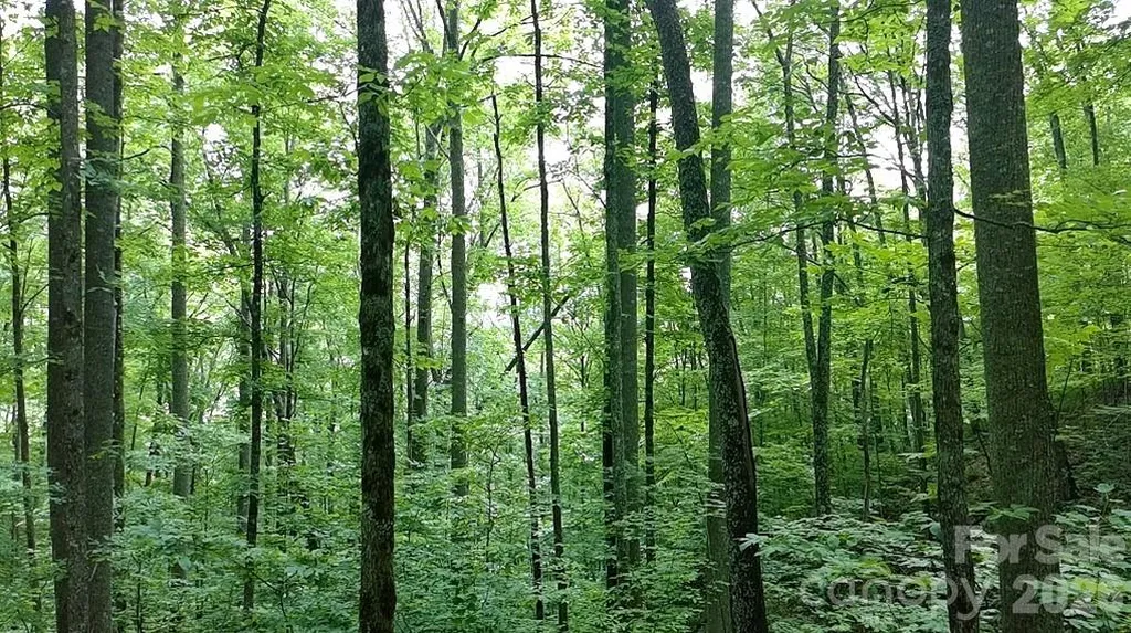 1873 Unahala Creek Road Bryson City NC 28713