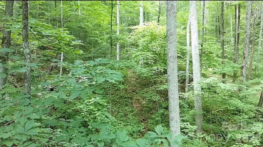1873 Unahala Creek Road Bryson City NC 28713