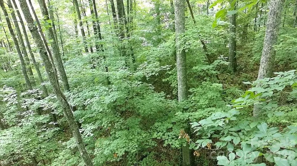 1873 Unahala Creek Road Bryson City NC 28713