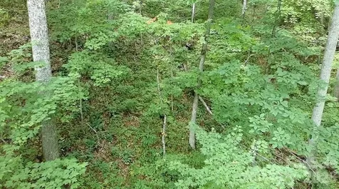 1873 Unahala Creek Road Bryson City NC 28713