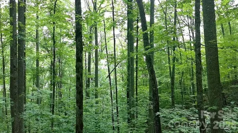 1873 Unahala Creek Road Bryson City NC 28713