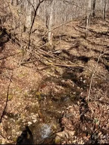 1873 Unahala Creek Road Bryson City NC 28713