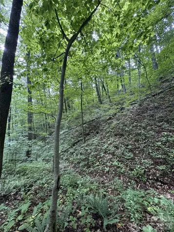 1873 Unahala Creek Road Bryson City NC 28713