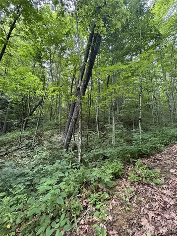 1873 Unahala Creek Road Bryson City NC 28713