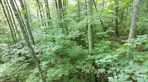 1873 Unahala Creek Road Bryson City NC 28713