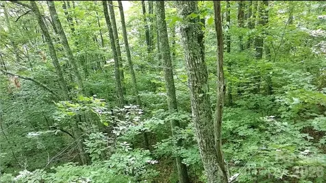 1873 Unahala Creek Road Bryson City NC 28713