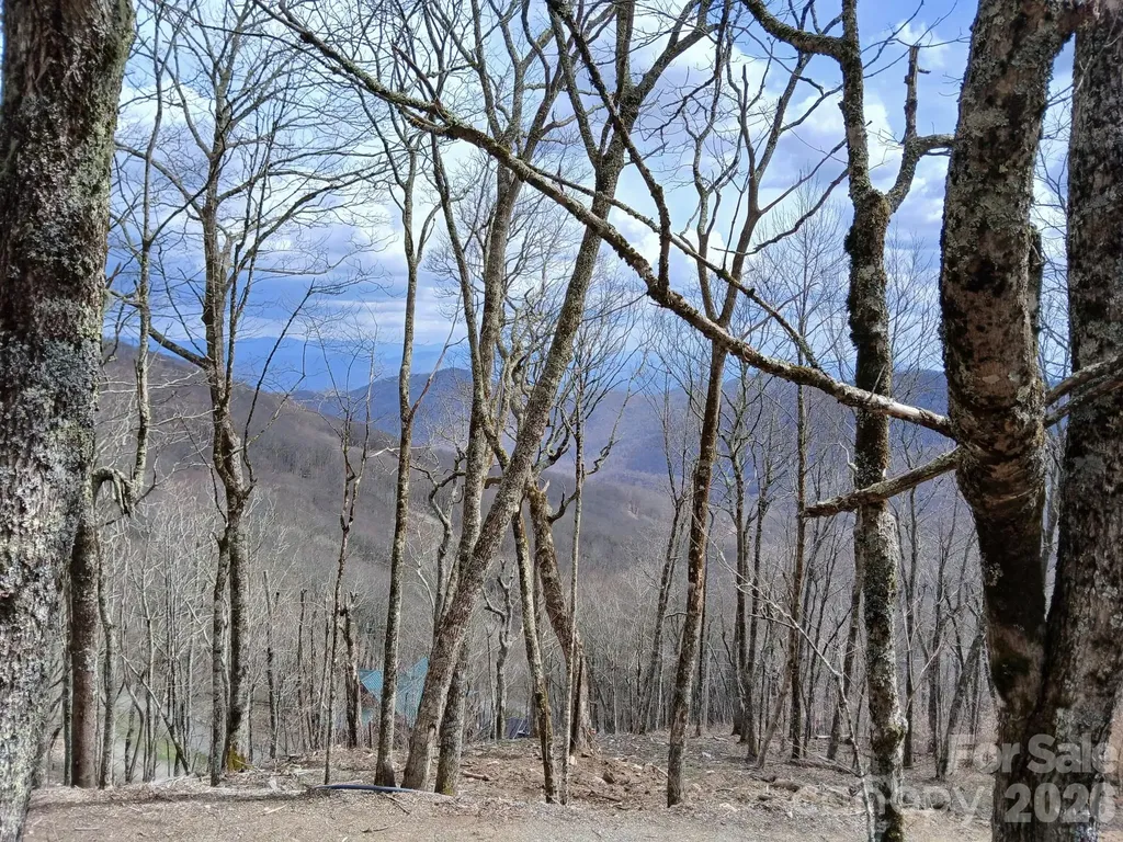000 Hamlin Lane Mars Hill NC 28754