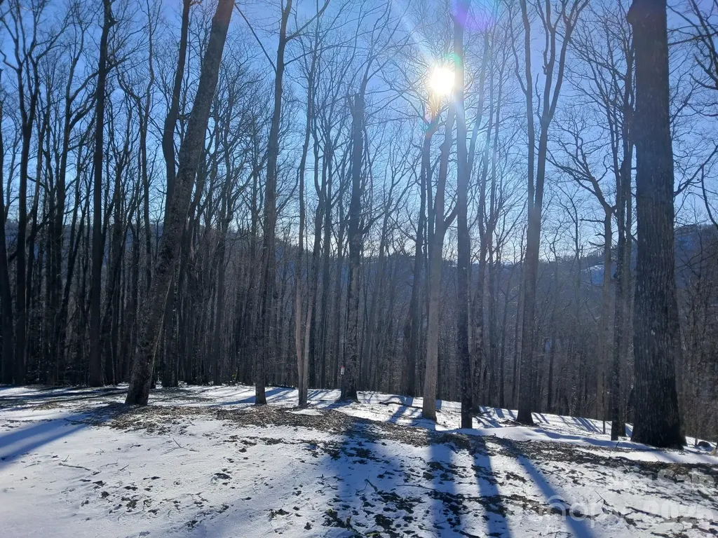 000 Hamlin Lane Mars Hill NC 28754
