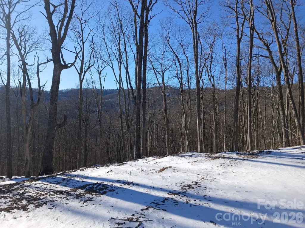 000 Hamlin Lane Mars Hill NC 28754