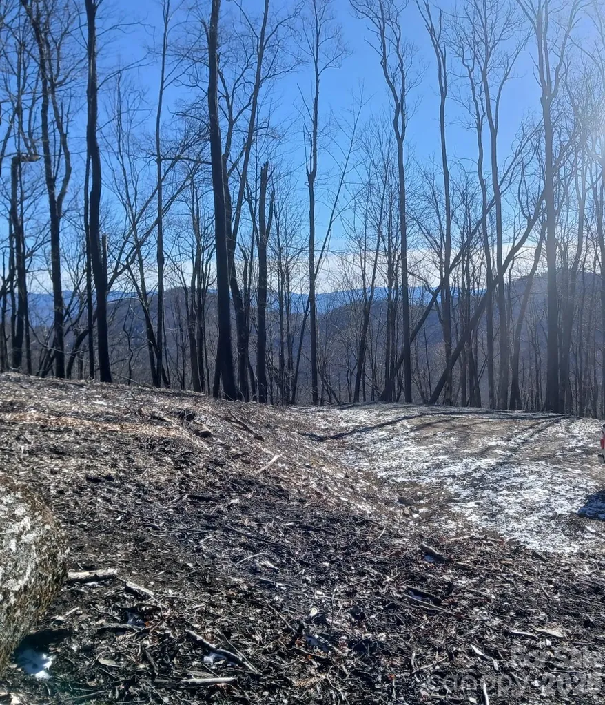 000 Hamlin Lane Mars Hill NC 28754