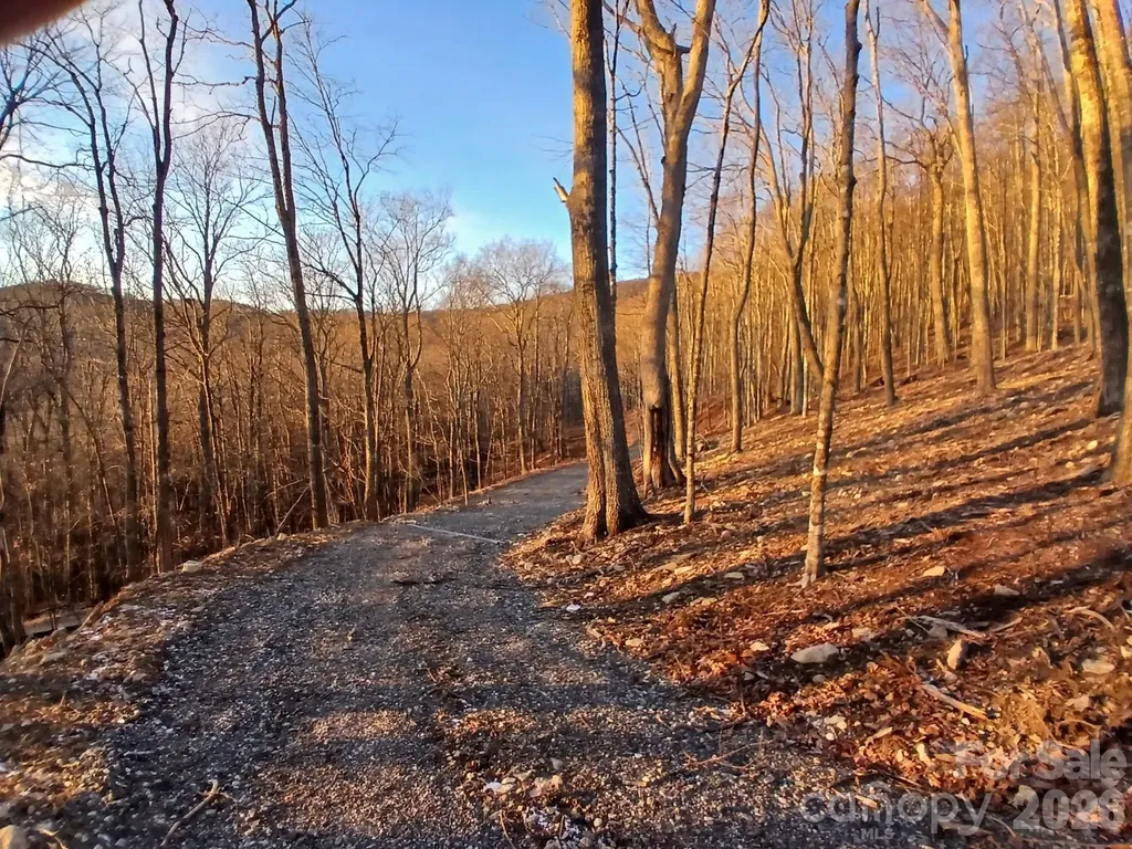 000 Hamlin Lane Mars Hill NC 28754