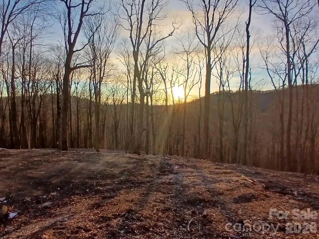 000 Hamlin Lane Mars Hill NC 28754