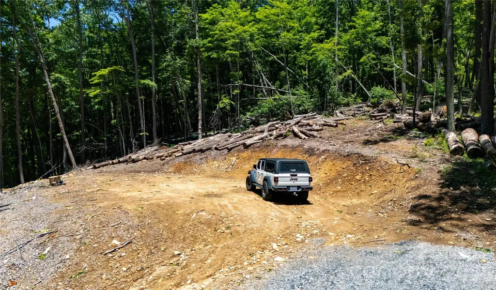 000 Hamlin Lane Mars Hill NC 28754