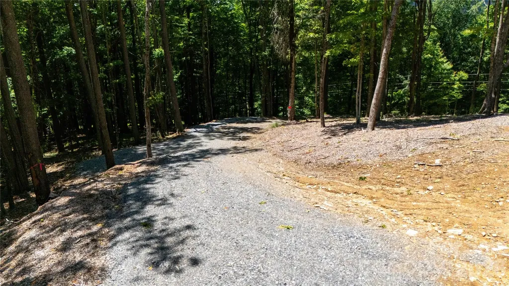 000 Hamlin Lane Mars Hill NC 28754
