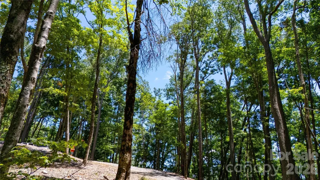 000 Hamlin Lane Mars Hill NC 28754