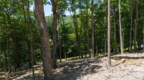 000 Hamlin Lane Mars Hill NC 28754