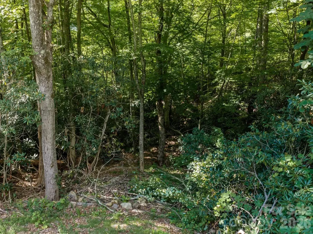 1230 Arborcrest Way Swannanoa NC 28778