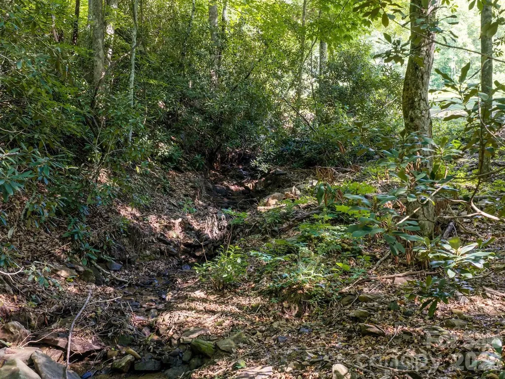 1230 Arborcrest Way Swannanoa NC 28778