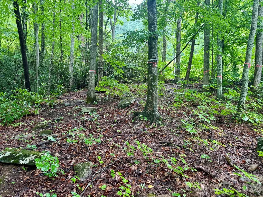 1230 Arborcrest Way Swannanoa NC 28778