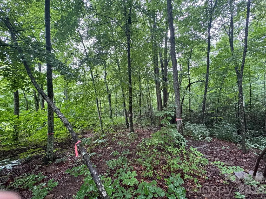 1230 Arborcrest Way Swannanoa NC 28778