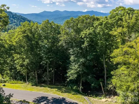 1230 Arborcrest Way Swannanoa NC 28778