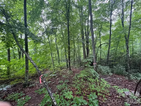 1230 Arborcrest Way Swannanoa NC 28778