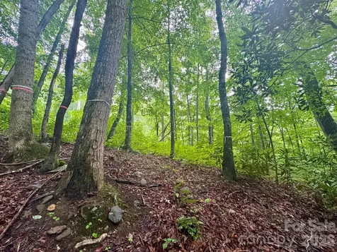 1230 Arborcrest Way Swannanoa NC 28778
